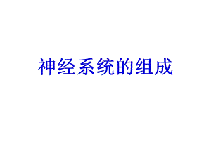 6.2神经系统的组成.ppt
