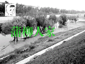 6.蒲柳人家 .ppt