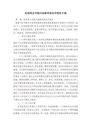 民政局乡村振兴战略考核自评报告6篇.docx