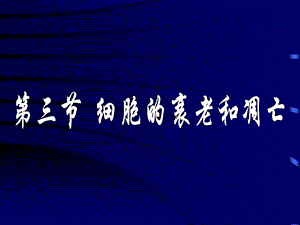 6.3细胞的衰老和凋亡课件1.ppt
