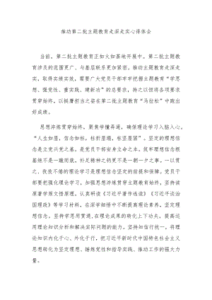 推动第二批主题教育走深走实心得体会3篇.docx