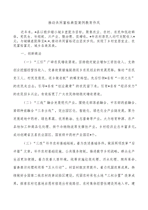 推动共同富裕典型案例教育作风.docx