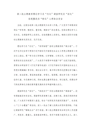 第二批主题教育理论学习求“内化”调查研究求“深化”检视整改求“转化”心得体会发言.docx
