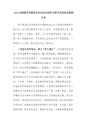 2023主题教育专题民主生活会会前学习研讨交流发言提纲文本.docx