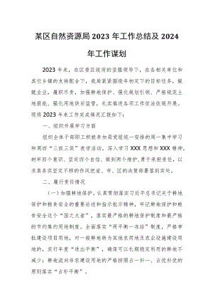 某区自然资源局2023年工作总结及2024年工作谋划.docx