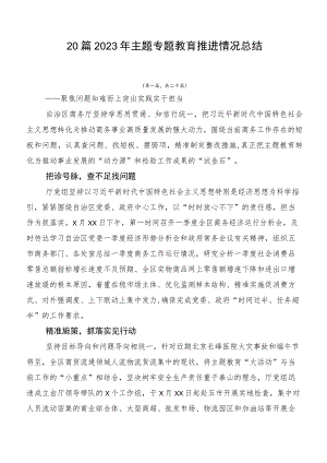 20篇2023年主题专题教育推进情况总结.docx