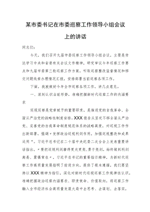 某市委书记在市委巡察工作领导小组会议上的讲话.docx