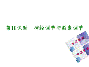 第18课时神经调节与激素调节名师编辑PPT课件.ppt