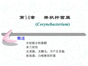 第14章棒状杆菌w.ppt