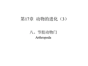 第17章动物的进化3”.ppt