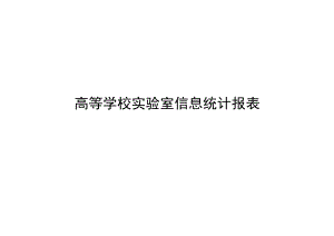 高等学校实验室信息统计报表.docx