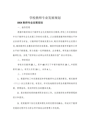 学校教师专业发展规划.docx