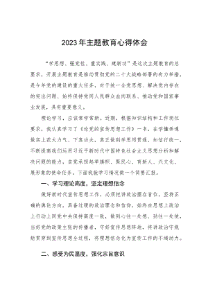 学校宣传干部2023年主题教育心得体会(十二篇).docx