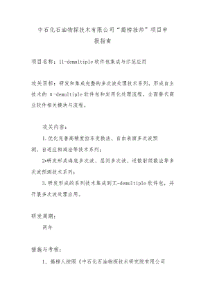 中石化石油物探技术有限公司“揭榜挂帅”项目申报指南.docx
