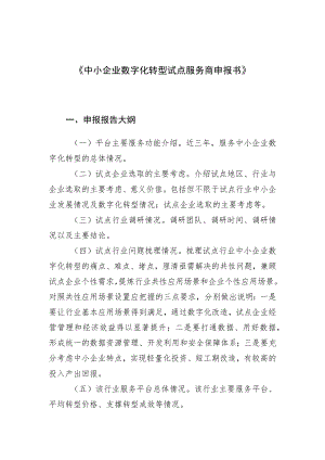 《中小企业数字化转型试点服务商申报书》.docx