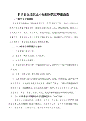 长沙县促进就业小额担保贷款申报指南.docx