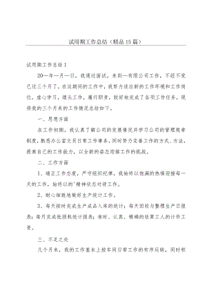 试用期工作总结（精品15篇）.docx