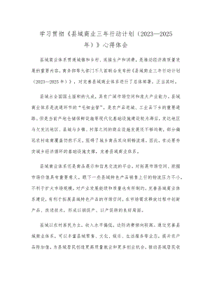 学习贯彻《县域商业三年行动计划（2023—2025年）》心得体会.docx