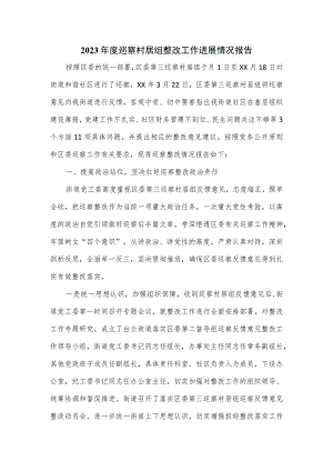 2023年度巡察村居组整改工作进展情况报告.docx