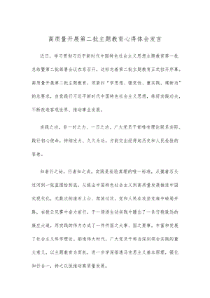 高质量开展第二批主题教育心得体会发言.docx
