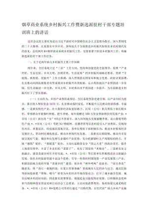 烟草商业系统乡村振兴工作暨新选派驻村干部专题培训班上的讲话.docx