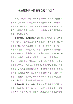 2023年主题教育心得体会、研讨发言（5篇）.docx