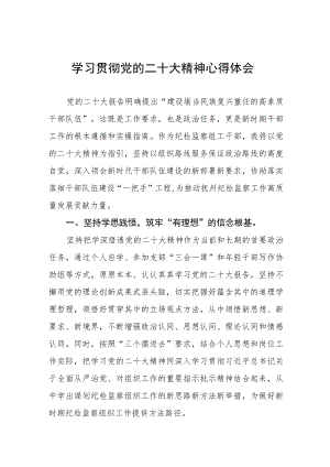 纪委书记学习贯彻党的二十大精神心得体会6篇.docx
