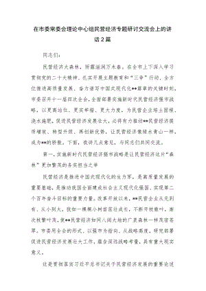 在市委常委会理论中心组民营经济专题研讨交流会上的讲话2篇.docx