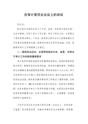 在审计委员会会议上的讲话.docx