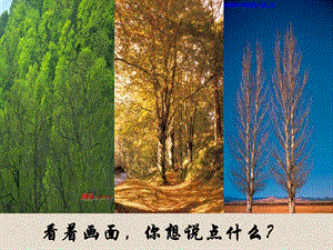 杨红女说“木叶”精品教育.ppt