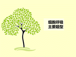 细胞呼吸习题课精品教育.ppt