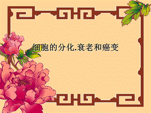 细胞的分化衰老精品教育.ppt