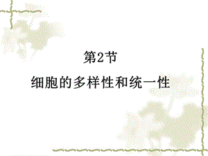 细胞的多样性和统一性精品教育.ppt