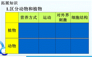 腔肠动物和扁形动物精品教育.ppt