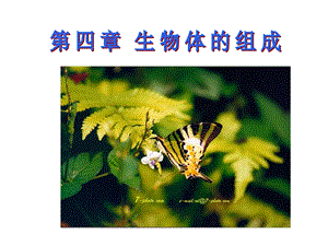细胞的分裂与分化.ppt精品教育.ppt