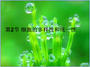 细胞的多样性与统一性精品教育.ppt