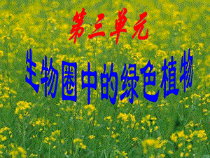 藻类苔藓与蕨类植物精品教育.ppt