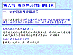 影响光合作用的因素.ppt