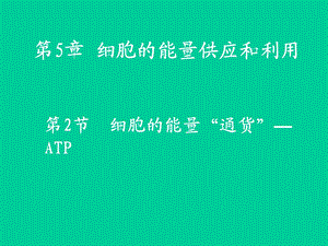细胞中的能量供应和利用精品教育.ppt
