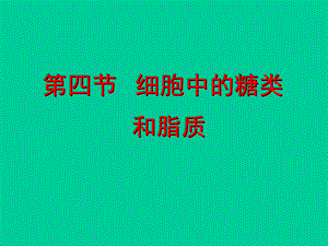 细胞中的糖类和脂质1精品教育.ppt