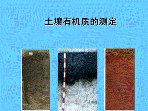 土壤有机质的测定.ppt