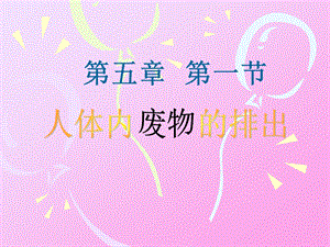 尿的形成和排出课件1.ppt