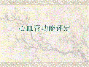 心血管功能评定.ppt