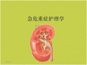 急护肾衰ppt课件.ppt