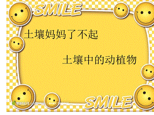 土壤妈妈了不起第五周.ppt
