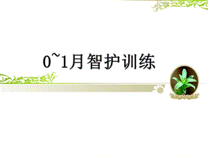 新生儿早教训练.ppt