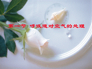 呼吸系统对空气的处理.ppt