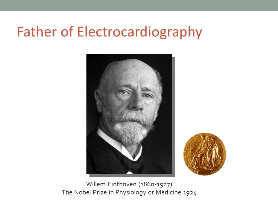 正常心电图形成的原理.ppt_第2页