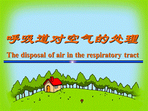 呼吸道对空气的处理3.ppt