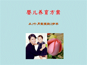 婴儿养育方案名师编辑PPT课件.ppt